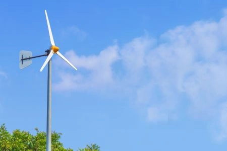 Bekijk de afbeelding in een volledig scherm